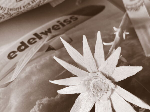 Edelweiss Air, Jubiläum, Flugzeug, 30 Jahre